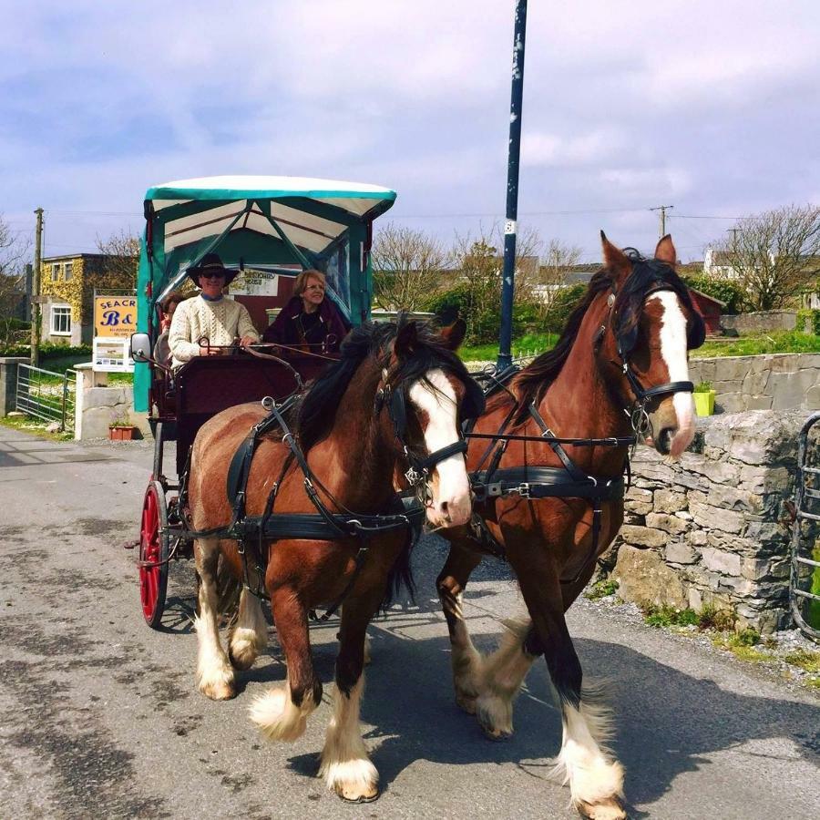 Seacrest B&B Kilronan  Buitenkant foto